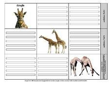 Leporello-Giraffe-3-1-2.pdf